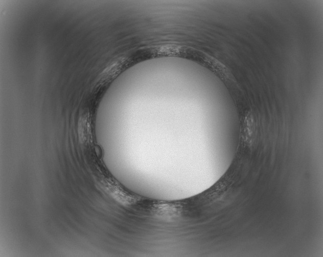 X0000079300522200612011753
