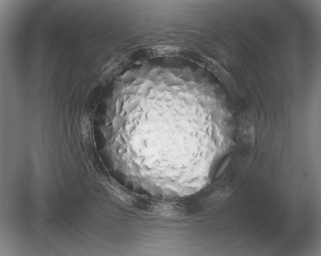 X0000079300523200612011753