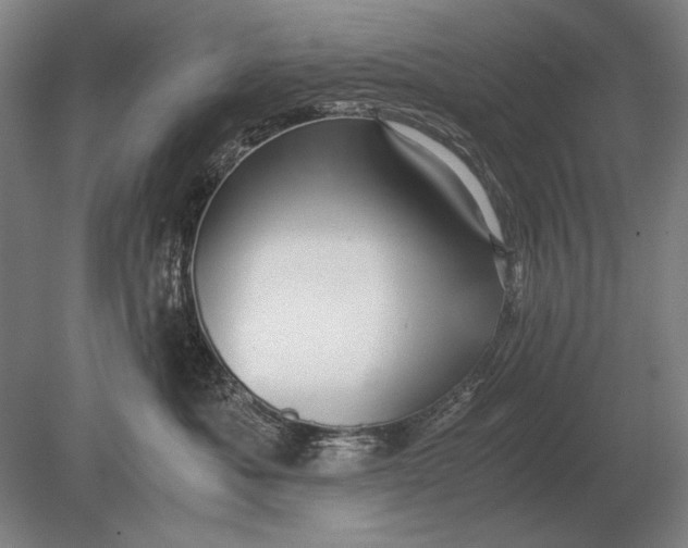 X0000079300525200612011753