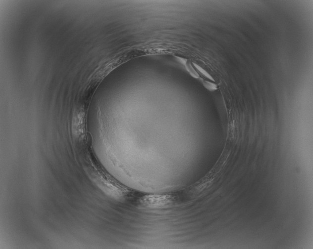 X0000079300526200612011753