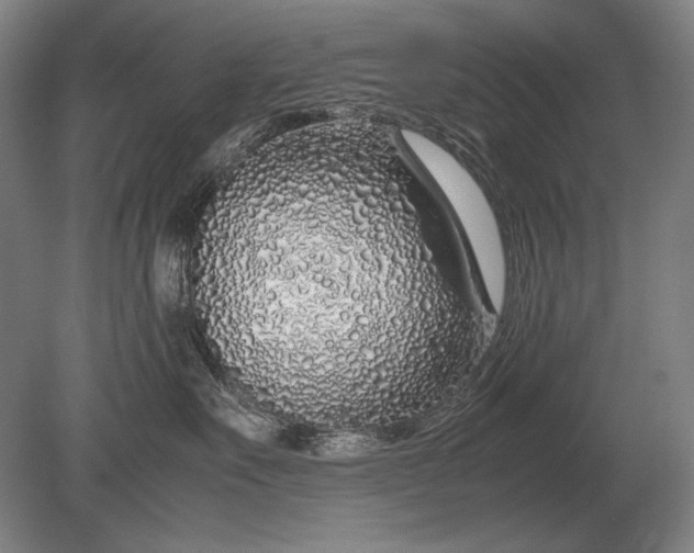 X0000079300527200612011753