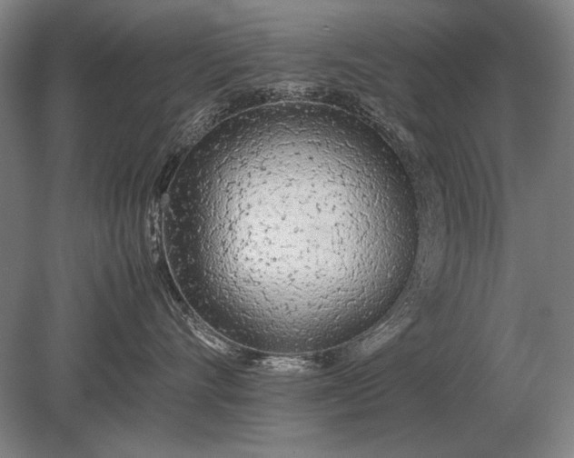 X0000079300528200612011753
