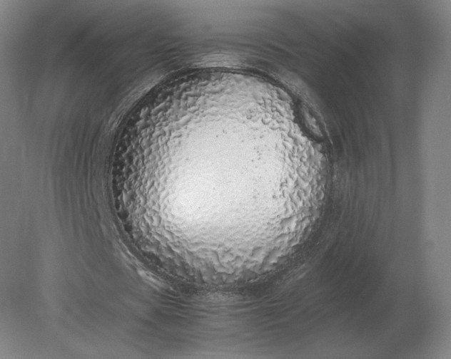 X0000079300529200612011752