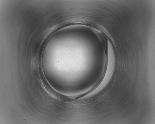 X0000079300530200612011752