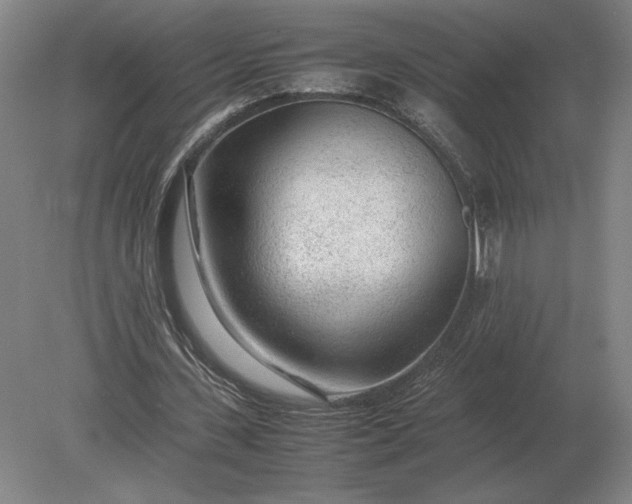 X0000079300531200612011752