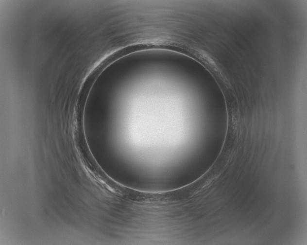 X0000079300532200612011752
