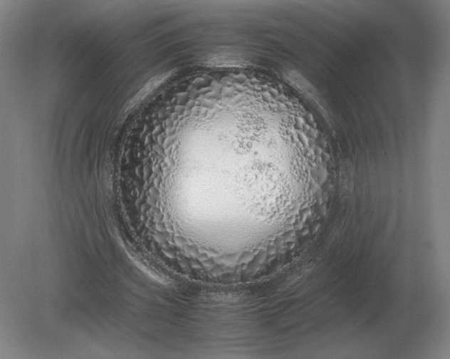 X0000079300533200612011752