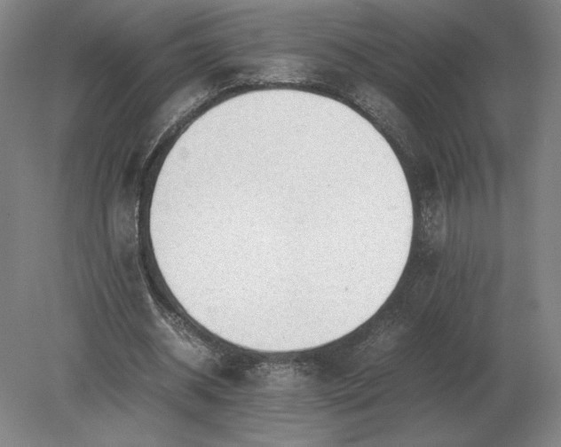 X0000079300534200612011752