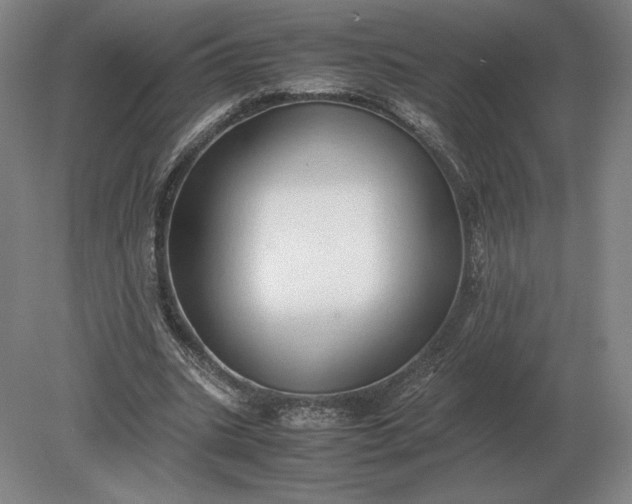 X0000079300535200612011752