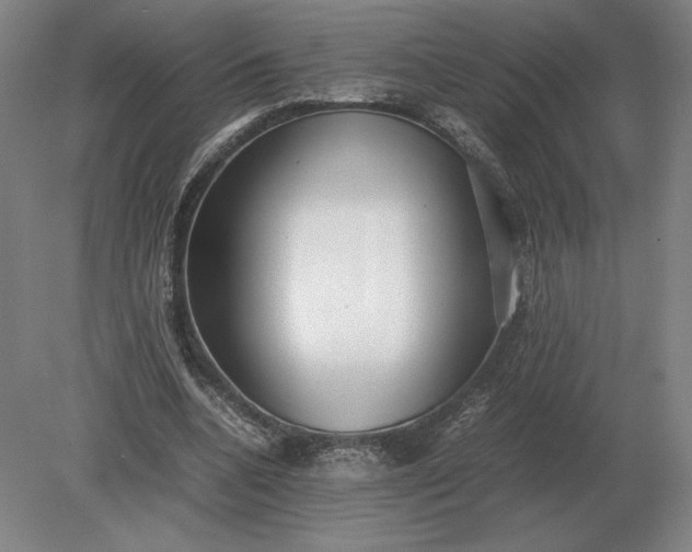 X0000079300536200612011752