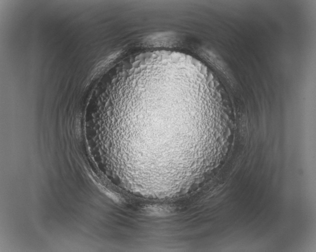 X0000079300537200612011752