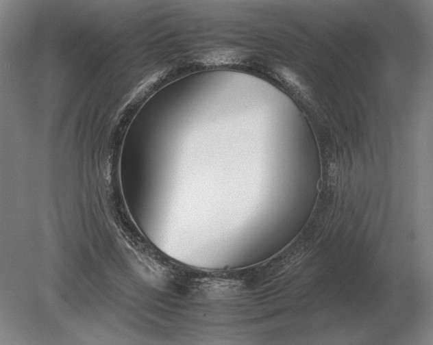X0000079300539200612011752