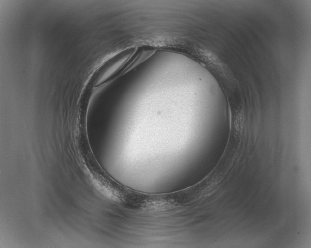 X0000079300540200612011752
