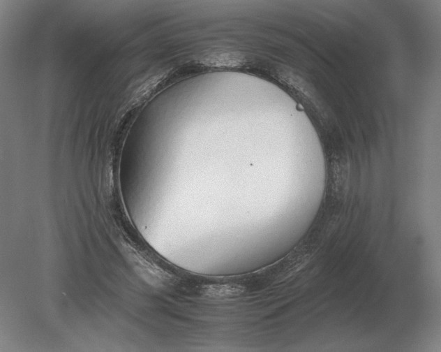 X0000079300541200612011752