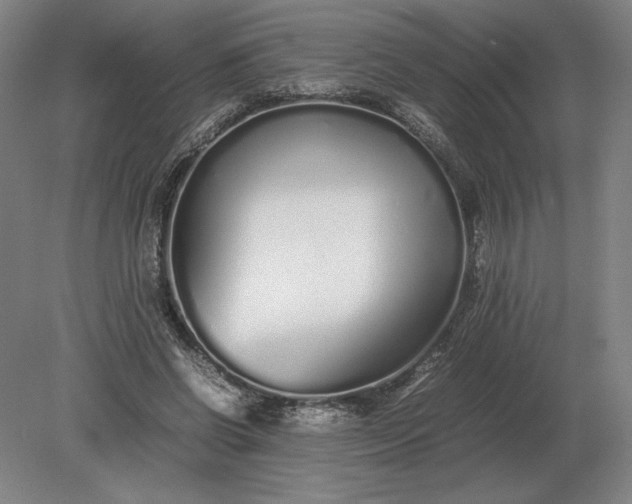 X0000079300542200612011752