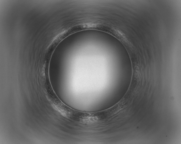 X0000079300543200612011752