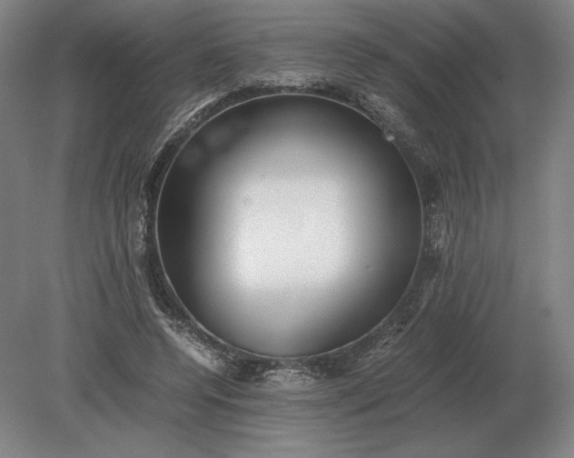 X0000079300544200612011752
