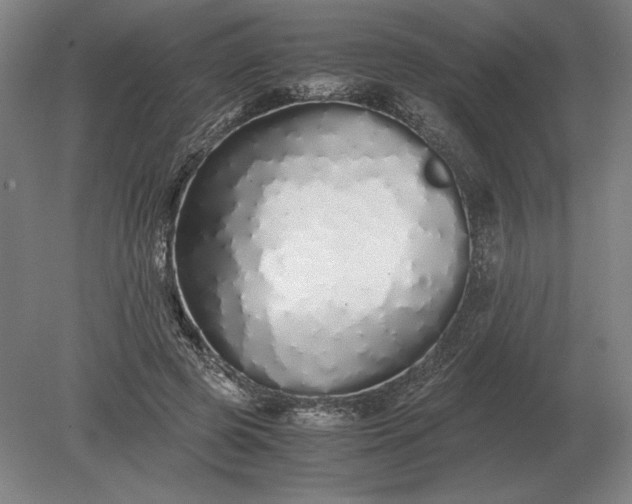 X0000079300545200612011752