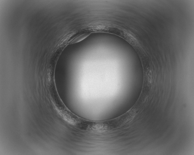 X0000079300546200612011752