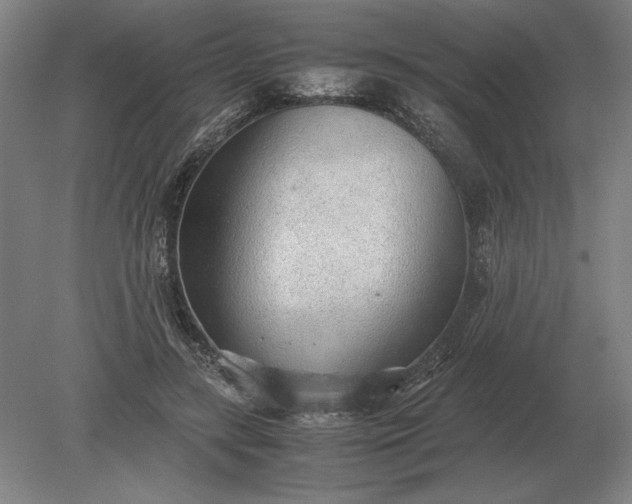 X0000079300547200612011752