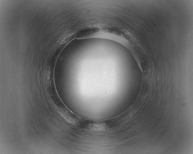 X0000079300548200612011752