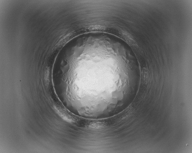 X0000079300550200612011752