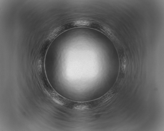 X0000079300551200612011752