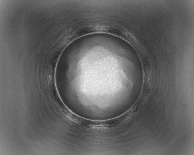 X0000079300553200612011752