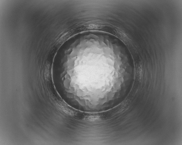 X0000079300554200612011752