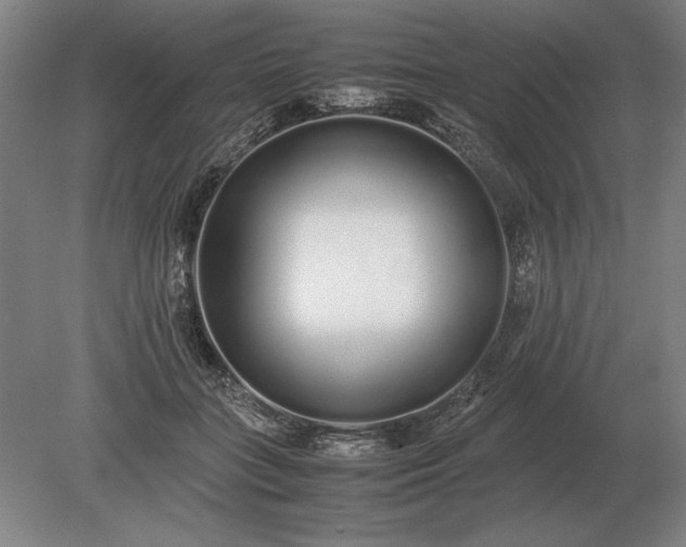 X0000079300555200612011752