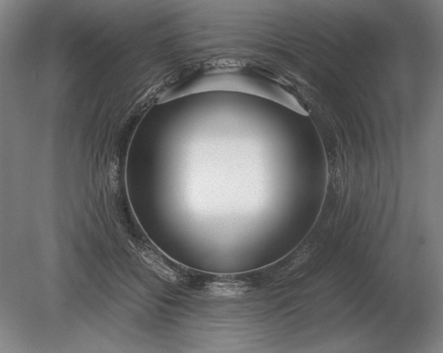 X0000079300556200612011752