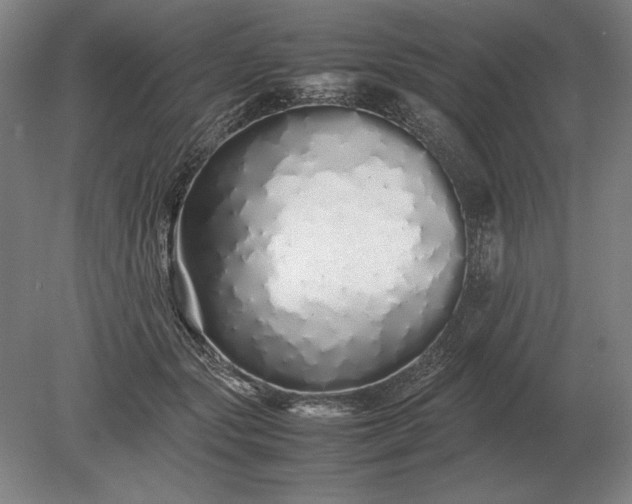 X0000079300557200612011752