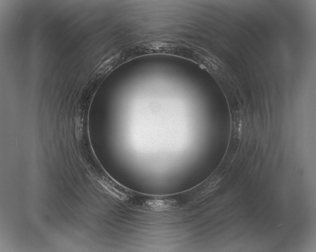 X0000079300558200612011752