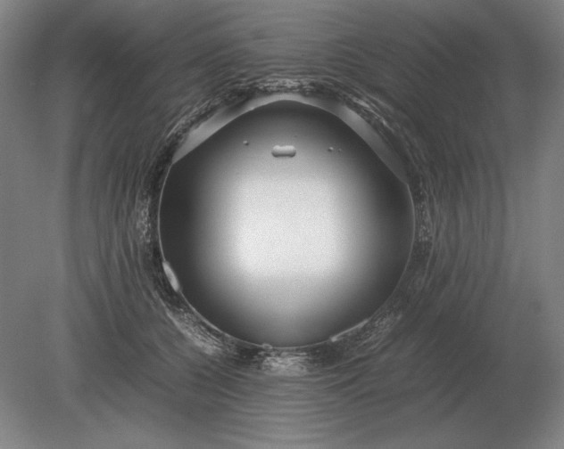 X0000079300560200612011752