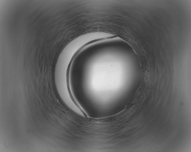 X0000079300561200612011752