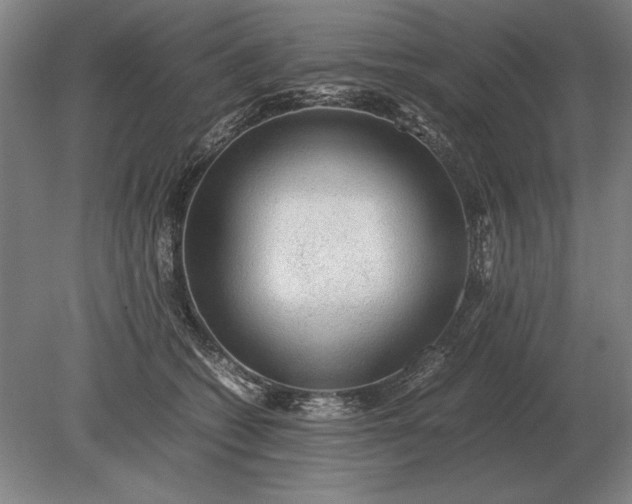 X0000079300562200612011752