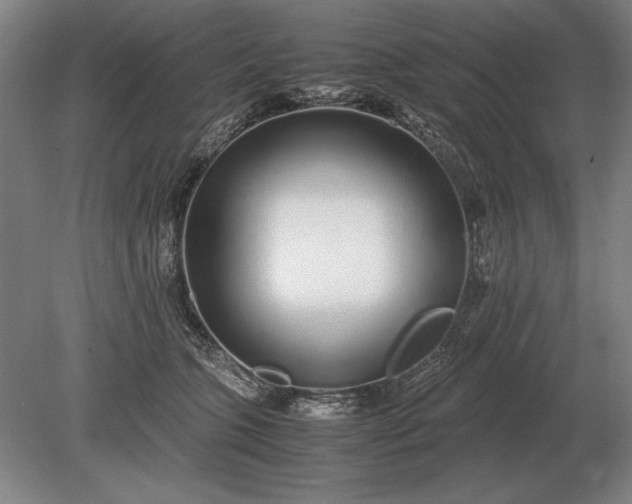 X0000079300563200612011752