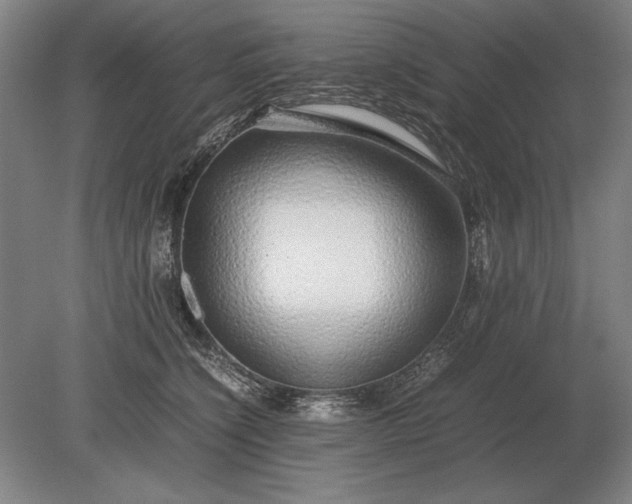 X0000079300564200612011753