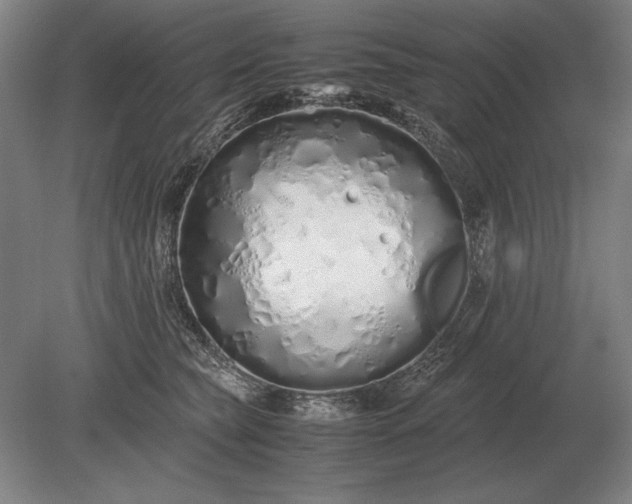 X0000079300565200612011753
