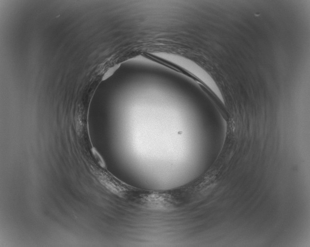 X0000079300566200612011753