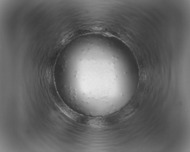 X0000079300568200612011753