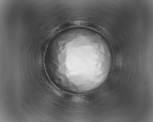 X0000079300569200612011753