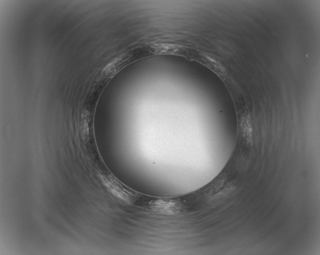 X0000079300570200612011753