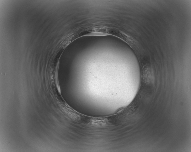 X0000079300571200612011753