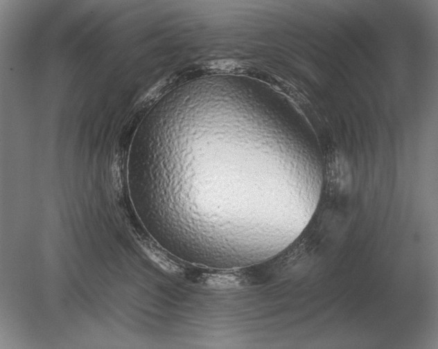 X0000079300572200612011753