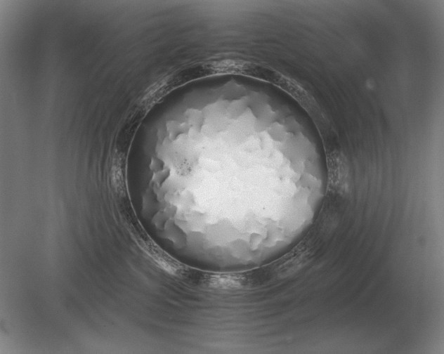 X0000079300573200612011753