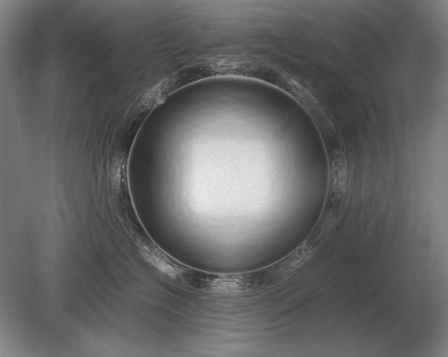 X0000079300574200612011753
