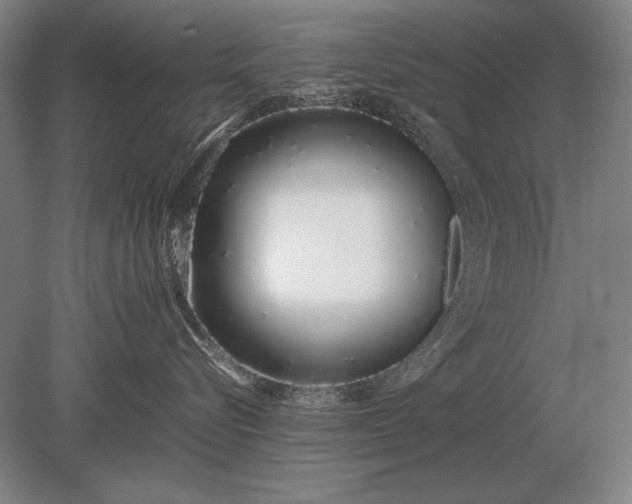 X0000079300576200612011753