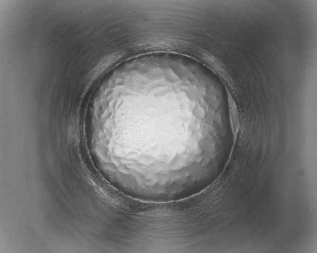 X0000079300578200612011752