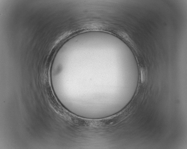 X0000079300579200612011752